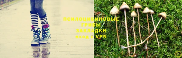 соль ск Алексеевка