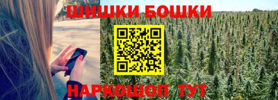 spice Владикавказ