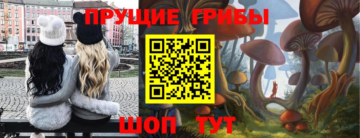 Псилоцибиновые грибы MAGIC MUSHROOMS  Вход с VPN  Махачкала 