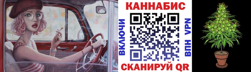 сколько стоит  Махачкала  Каннабис тримм 